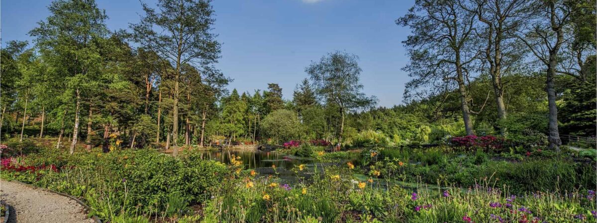 Himalayan Garden, Ripon